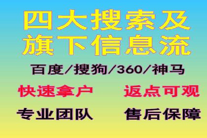 SEM运营策略案例分析